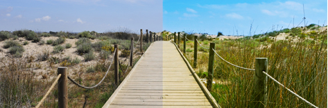 header_edicao_paisagem