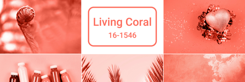 Capa do artigo Living Coral: cor Pantone de 2019!